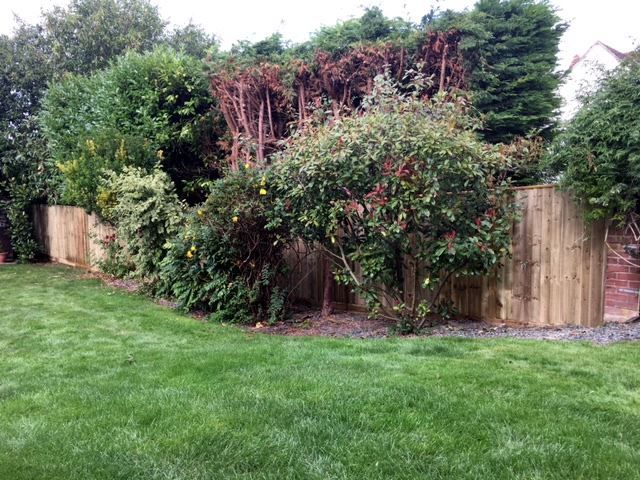 Close board fencing in Cumnor, Oxford